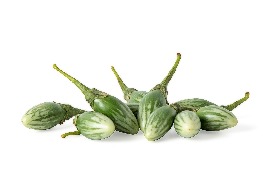 มะเขือลายจำปี