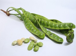 สะตอฝัก