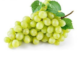 องุ่นไร้เมล็ดเขียว