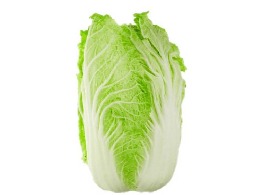 ผักกาดขาว (ลุ้ย)จีน พันธุ์ไทย
