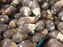 เผือกหอม