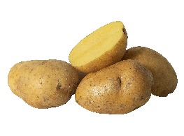 มันฝรั่งไทย