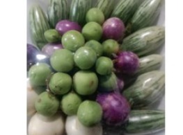 ชุดมะเขือสามสี + มะเขือพวง