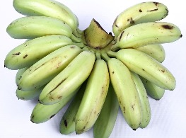 กล้วยไข่