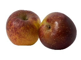 แอปเปิ้ลฟูจิแกนน้ำผึ้ง