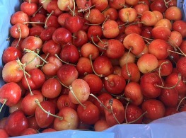 เชอรี่สีทองอเมริกา