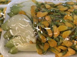 ดอกโสนกับดอกแค