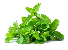 สาระแหน่ กำ 