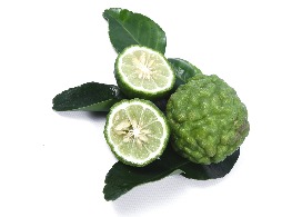 ลูกมะกรูด