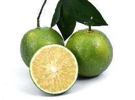 ส้มเช้ง