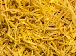 ขิงแก่ซอย