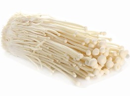 เห็ดเข็มทอง