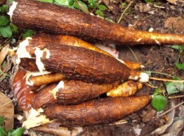 มัน 5 นาที