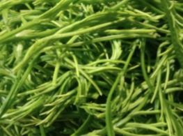 ชะอมเด็ด