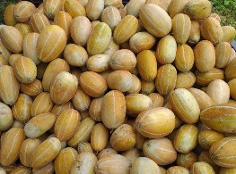 แตงไทสิงค์โปร์