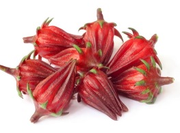 ดอกกระเจี๊ยบ