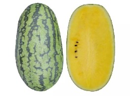 แตงโมรัน รัน เนื้อสีเหลือง