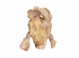 หน้ากากหมูสด