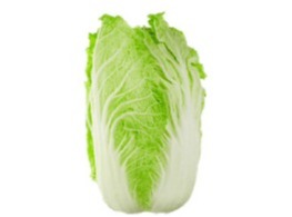 ผักกาดขาว(ลุ้ย)จีน พันธุ์หางหงส์