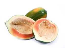 มะละกอเรด เลดี้ 