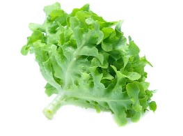 กรีนโอ็ค