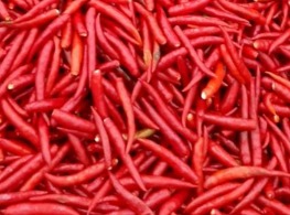 พริกจินดาแดงเด็ด