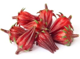 ลูกกระเจี๊ยบ