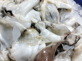 คอหมึกยักษ์