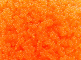 ไข่กุ้ง