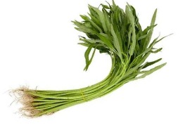 ผักบุ้งจีน