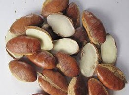 เม็ดกระบก