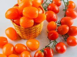 มะเขือเทศราชินีสีส้ม