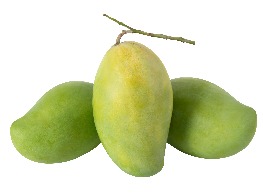 มะม่วงแก้วขมิ้น