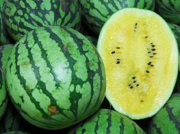 แตงโมน้ำผึ้ง