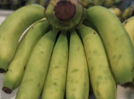 กล้วยหอมทอง (ห่าม/กระดังงา)