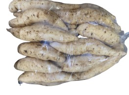 มันผักกาด