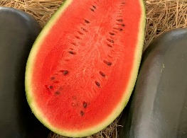 แบล็คบอมบ์