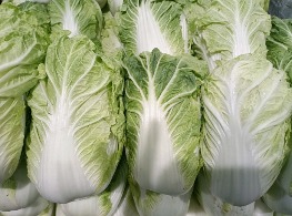 ผักกาดขาว (ลุ้ย)ไทยขาว (คัดพิเศษ)