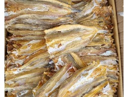 ปลาช่อนทะเลตากแห้ง