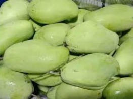 มะม่วงปลาตะเพียนดิบ