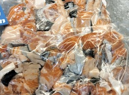 ท้องปลาแซลมอนสด