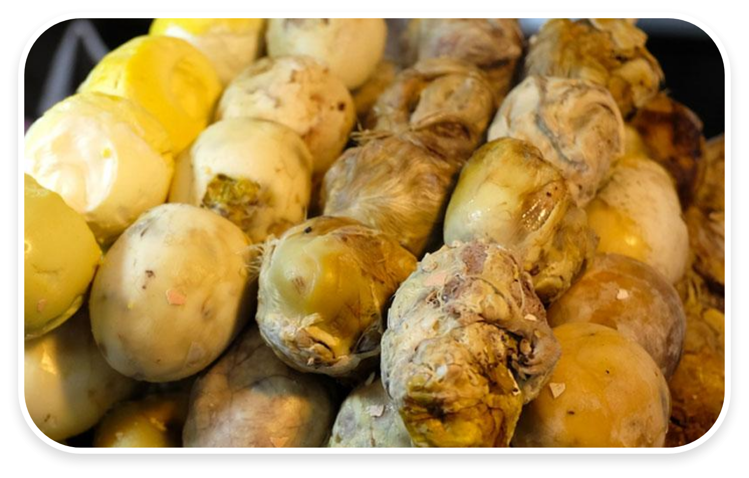 ไข้ข้าว