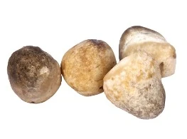 เห็ดฟาง