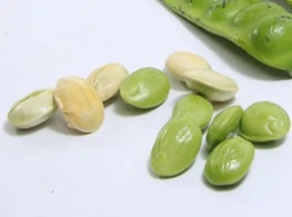 สะตอแกะ