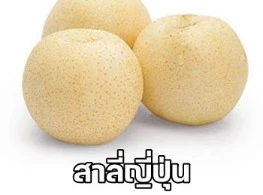 สาลี่ญี่ปุ่น