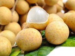 ลำไยอีดอ