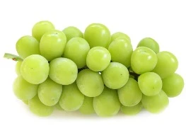 องุ่นไซมัสคัส