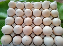 ไข่ข้าว