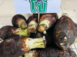 เผือกหอม