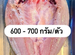 ปลากะพง
